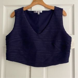 **3 for $20!!** Jennifer Lopez Textured Purple Crop Top XL V-Neck